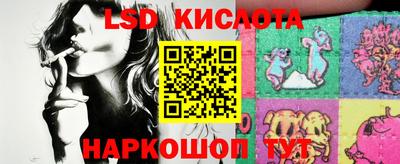 дмт Аргун