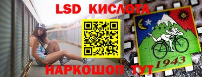 дмт Аргун