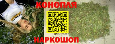 дмт Аргун
