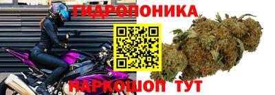 ПСИЛОЦИБИНОВЫЕ ГРИБЫ Апшеронск