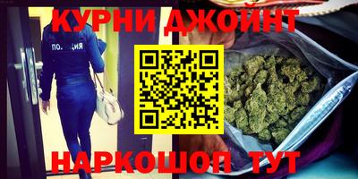 дмт Аргун