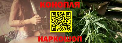 дмт Аргун